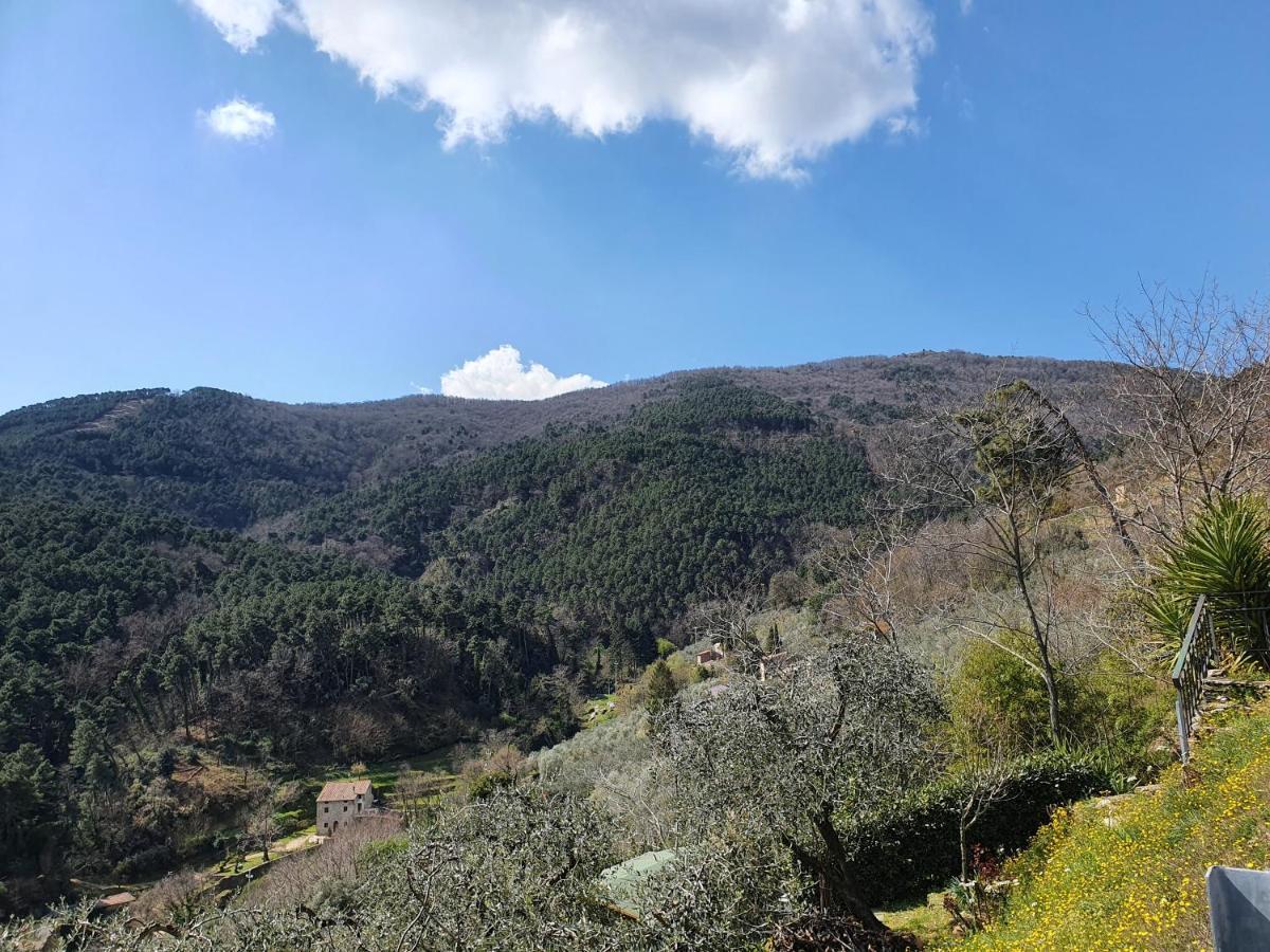 Pietra D'Acqua B&B In The Woods Buti Exterior foto