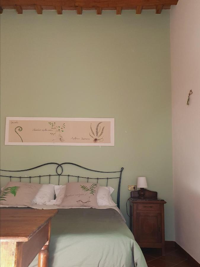 Pietra D'Acqua B&B In The Woods Buti Exterior foto